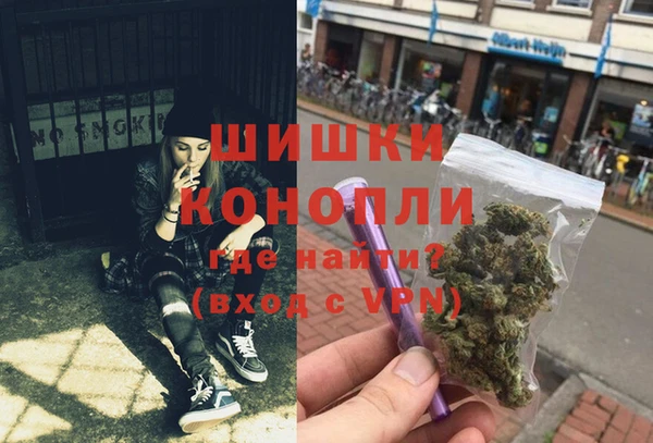индика Карталы