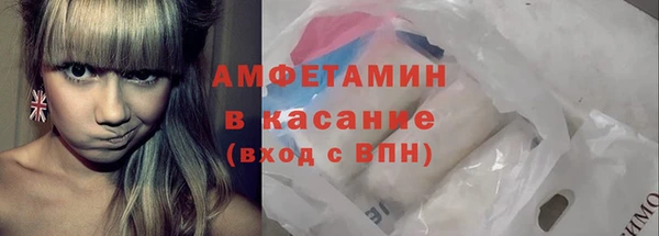индика Карталы