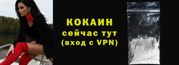 индика Карталы