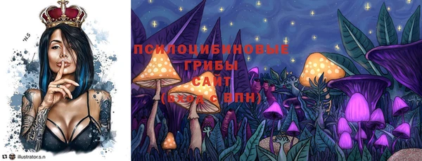 экстази Карпинск