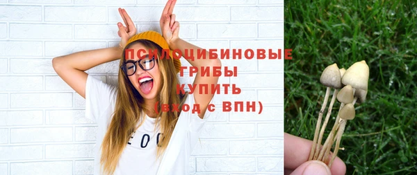 индика Карталы