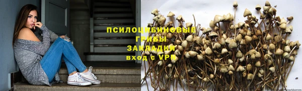 ALPHA PVP Киреевск